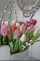Best Tulips Designs Collection screenshot 2