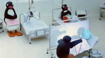 New Pingu 스크린샷 3