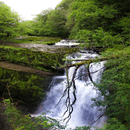 APK Nature View Live Wallpaper
