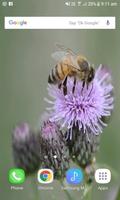 Bee On Flower LWP screenshot 1