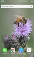 Bee On Flower LWP screenshot 2