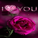 Diamond Heart Rose LWP APK