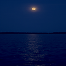 Evening Ocean Live Wallpaper APK