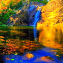 Golden Mountain Fall LWP APK