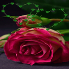 Green Heart Rose LWP icon