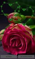 Green Heart Rose LWP پوسٹر