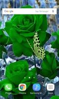 Green Roses Butterfly LWP screenshot 2