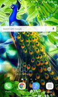 Peacock Beauty Live Wallpaper スクリーンショット 1