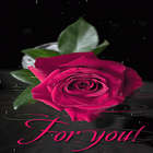 Rainy Rose Live Wallpaper иконка