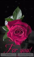 Rainy Rose Live Wallpaper постер