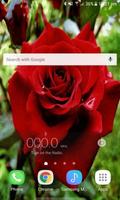 Red Rose Flower LWP ảnh chụp màn hình 2