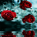 Red Roses Reflection LWP APK