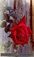 Rose Branch Live Wallpaper poster