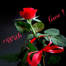 Valentine Rose Shine LWP APK