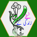 Nuskhy Zindagi Ke