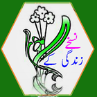 Nuskhy Zindagi Ke иконка