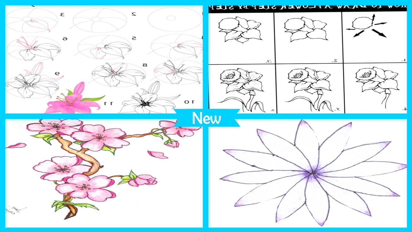 Menggambar Sketsa Bunga Langkah Demi Langkah APK Download Gratis