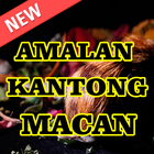 Amalan Kantong Macan icône