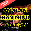 APK Amalan Kantong Macan