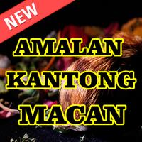 Amalan Kantong Macan captura de pantalla 1