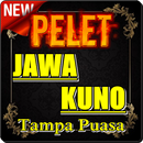 PELET CINTA JAWA KUNO LENGKAP APK