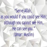 برنامه‌نما Prophet Muhammad (pubh) Quotes عکس از صفحه