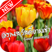 คำคมสวัสดีตอนเช้าตามวันฟรีพร้อมรูปใหม่ล่าสุด