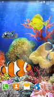 Coral Fish Live Wallpaper স্ক্রিনশট 1