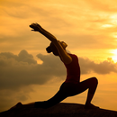 Yoga Basics APK