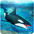 Killer Whale Attack Simulator APK