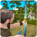 Archery Master Jungle Hunter APK