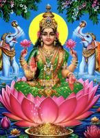 برنامه‌نما Lakshmi Devi Wallpapers HD عکس از صفحه