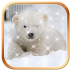 Polar Bear Wallpaper HD আইকন