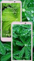 Dew Wallpaper Morning Dew স্ক্রিনশট 1