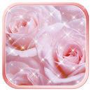 APK Pink Rose Wallpaper HD