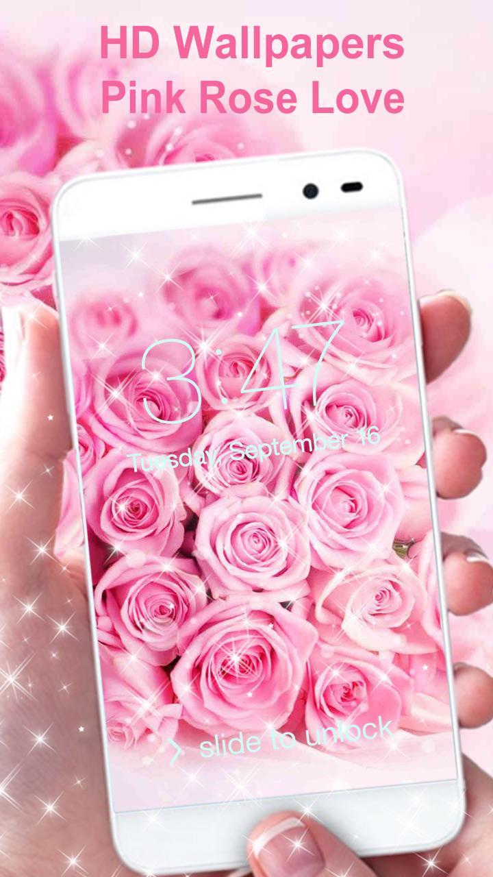 Pink Rose Wallpaper Hd For Android Apk Download