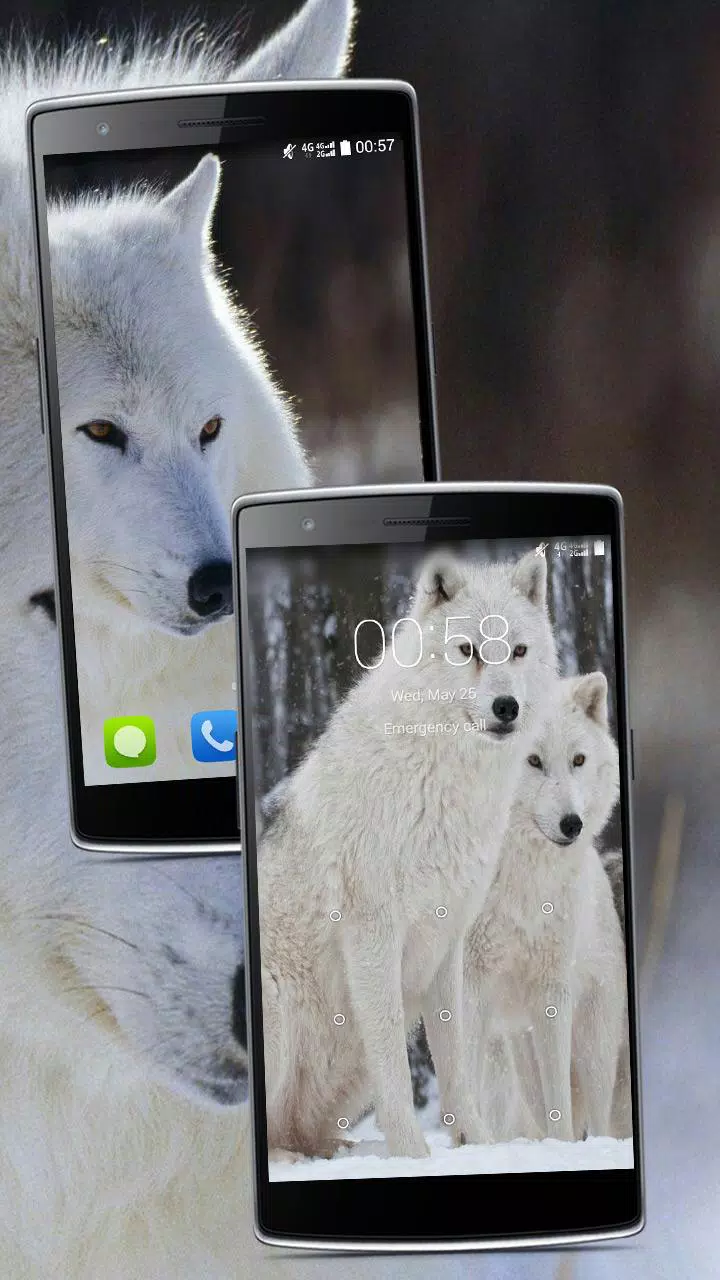 高清壁纸狼hd安卓下载 安卓版apk 免费下载