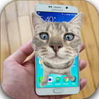 cat walking on screen -funny prank apps- иконка