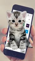 مزحة لطيفة قطة تمشي في الهاتف تصوير الشاشة 3