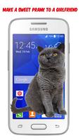 cat walking on screen -funny prank apps- poster