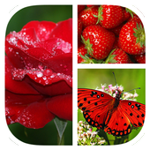 Photo Collage Grid icon