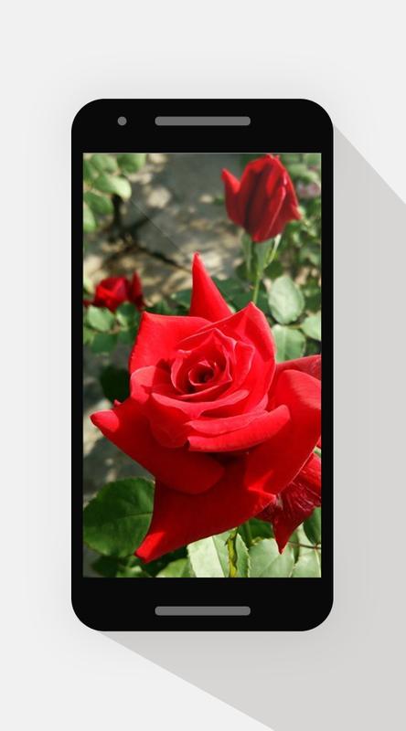 ورود حب وعشق جديد For Android Apk Download