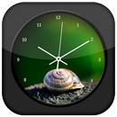 APK Shells Clock Live Wallpaper