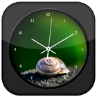 Shells Clock Live Wallpaper icône