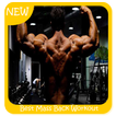 ”Best Mass Back Workout