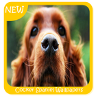 Cocker Spaniel Wallpapers icône