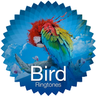 Bird ringtones & sounds ikona