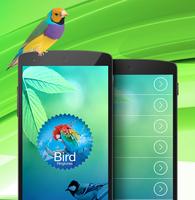 Bird ringtones & sounds screenshot 1