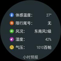 琥珀天气手表版 capture d'écran 3