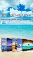 Natural Weather Live Wallpaper Cartaz
